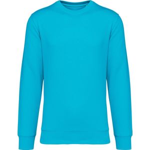 Biologische unisex sweater merk Native Spirit Light Turquoise - XXL