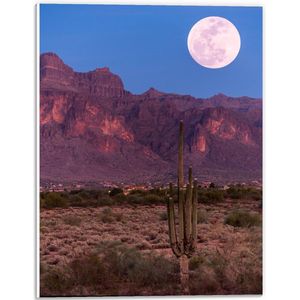 Forex - Volle Maan in Nationaal Bos in Arizona - Amerika - 30x40cm Foto op Forex