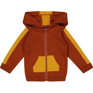 4PRESIDENT Sweater jongens - Arabian Spice - Maat 50 - Jongens trui