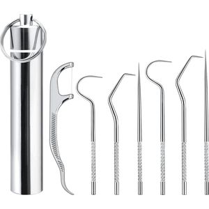 Flosserset - RVS - Tandenstokers - 8 stuks - Mini Conical Tandenstokers - RVS Tandarts Setje