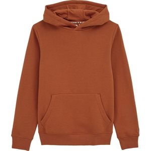 WE Fashion Unisex capuchonsweater