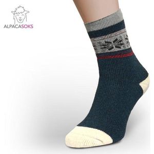 AlpacaSoks Wollen Sokken SPHS35 Maat 39-42