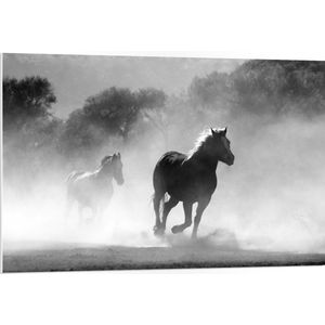 WallClassics - PVC Schuimplaat- Galoperende Paarden bij het Bos (Zwart-wit) - 105x70 cm Foto op PVC Schuimplaat