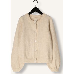 Ai&Ko Jady Pes 442 G Truien & Vesten Meisjes - Sweater - Hoodie - Vest- Beige - Maat 152