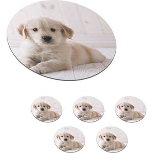 Onderzetters voor glazen - Rond - Witte Golden Retriever puppy - 10x10 cm - Glasonderzetters - 6 stuks