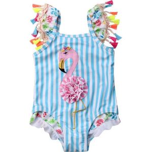 Babybadpak - Maat 80 -  Flamingo - Kinderbadpak - Zwembroek - Badpak - Babyzwemmen - Kraamkado
