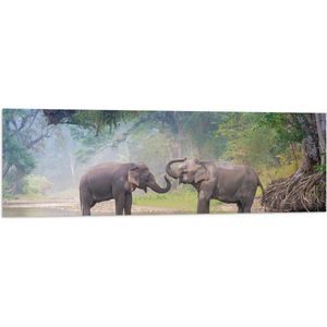 Vlag - Spelende Olifanten in Beekje in de Jungle - 120x40 cm Foto op Polyester Vlag