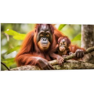 PVC Schuimplaat- Orang Oetan Aap met Baby zittend bij Takken - 100x50 cm Foto op PVC Schuimplaat