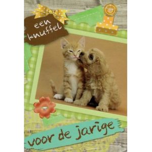 Een knuffel voor de jarige! Van harte gefeliciteerd! Deze hond en kat zitten heel lief en schattig bij elkaar. Een geschikte kaart voor de jarige om zo te geven of om bij een cadeau te doen. Een dubbele wenskaart inclusief envelop en in folie verpakt