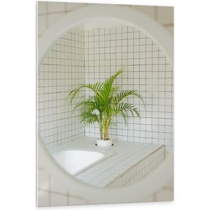 Forex - Spiegel in Badkamer met Plant - 80x120cm Foto op Forex