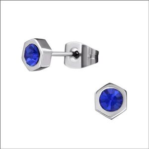 Aramat Jewels Oorbellen - Stalen Zeshoek Oorbellen Kristal - Roestvrij staal - Mannen - Kinderen - 3
