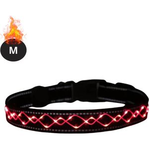 Livano Lichtgevende Halsband - Verlichte Halsband - Lichtgevend - Hond - Kat - Lampje - Hondenhalsband Led - Oplaadbaar - Rood - M