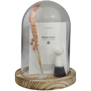 Gempops horoscoop – Waterman sterrenbeeld – keuze 12 soorten edelstenen - persoonlijk gift - cadeau - ambachtelijk handwerk – gemstones