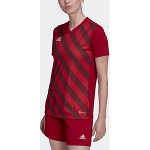 adidas Performance Entrada 22 Graphic Voetbalshirt - Dames - Rood - M