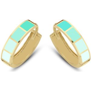 CO88 Collection Oorbellen Dames - Oorringen - Emaille - 16x4mm - Groen - Staal - Goudkleurig - 8CE-70490