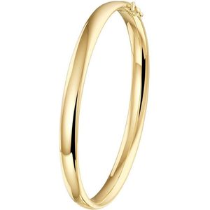 Geelgouden Bangle scharnier ovale buis 6 x 60 mm 4023295