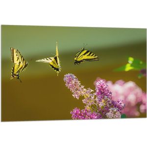 WallClassics - Vlag - Vliegende Gele Vlinders - 105x70 cm Foto op Polyester Vlag