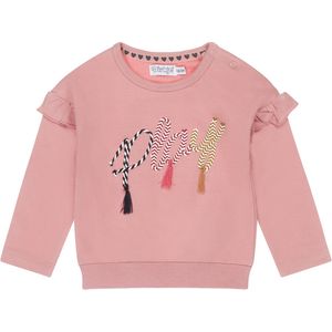 Dirkje S-AMAZING Meisjes Trui - Maat 62