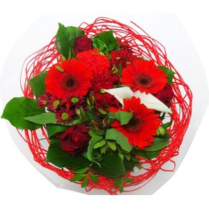 Boeket Sisal Large Rood ↨ 35cm - bloemen - boeket - boeketje - bloem - droogbloemen - bloempot - cadeautje