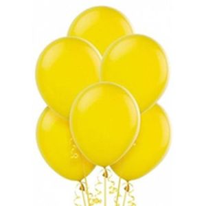 Ballonnenboog - Ballonnen - Geel - 12 stuks - Knoopballonnen - Party ballonnen - Feest ballonnen