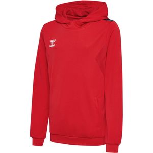 Hummel - Authentic Pl Hoodie - Polyester - Kids