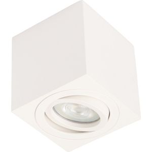 Ledmatters - Opbouwspot Wit - Dimbaar - 4 watt - 350 Lumen - 4000 Kelvin - Koel wit licht - Lichthoek Verstelbaar - IP44 Badkamerverlichting