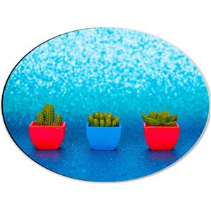 Dibond Ovaal - Trio van Rode en Blauwe Vaasjes met Groene Vetplanten in Blauwgekleurde Glitter Achtergrond - 40x30 cm Foto op Ovaal (Met Ophangsysteem)
