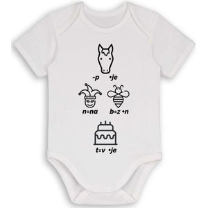 Aardje naar zijn vaartje- romper - rebus - kraamcadeau