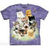 T-shirt 10 Kittens L