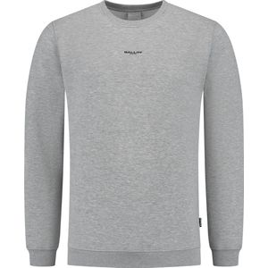 Ballin Amsterdam - Heren Regular fit Sweaters Crewneck LS - Grey - Maat XXL