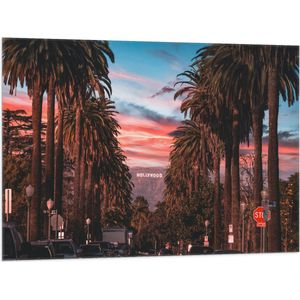 Vlag - Los Angeles Hollywood met Palmbomen - 100x75 cm Foto op Polyester Vlag