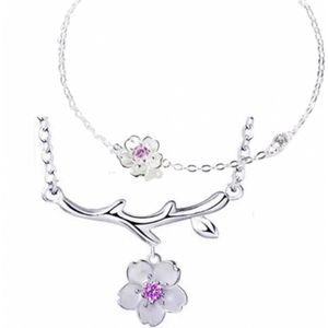 2-Delig-Zilver Ketting-Armband-Ilse paars- Charme Bijoux