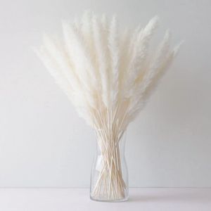 Pampas pluimen - Pampasgras - Droogbloemen-Boeket-Natuurlijke Bloemen - Droogbloemen - 15 stuks - wit - 45 cm