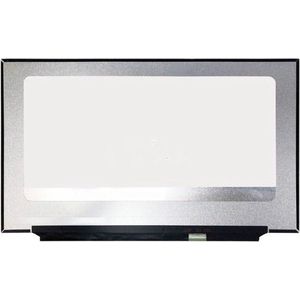LCD scherm geschikt voor Acer Chromebook CB317-1H