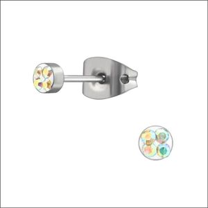 Aramat jewels ® - Titanium oorbellen rond titanium AB transparant zilverkleurig 3mm