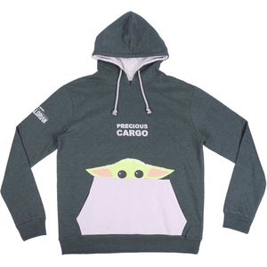 Star Wars The Mandalorian - Hoodie Baby Yoda - Grijs / Groen