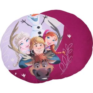Frozen Paars rond kussen, sierkussen, decoratief 40 cm