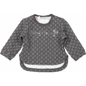 Dirkje sweater Grijs - Soft Hunny Bunny Maat: 86