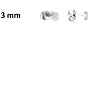 Aramat jewels ® - Ronde oorbellen sandblasted chirurgisch staal 3mm