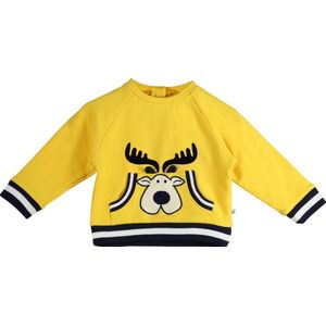 Ducky Beau - Sweater - CFSW06 - Size 80