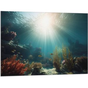 Vlag - Zee - Onderwater - Zon - Vissen - Koraal - 100x75 cm Foto op Polyester Vlag
