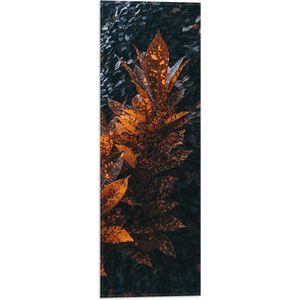 Vlag - Bruine Bladern met Lichtbruine Details voor Groene Struik - 20x60 cm Foto op Polyester Vlag