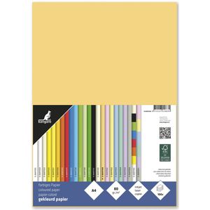 Kangaro papier - formaat A4 - 80 grams - donkerchamois - pak 100 vel - K-0041F436