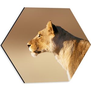 Dibond Hexagon - Zijprofiel van Mooie Leeuwin - 30x26.1 cm Foto op Hexagon (Met Ophangsysteem)