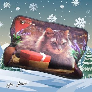 Mrs. Jones Elektrische warmwaterkruik 500 W oplaadbaar hand- en voetenwarmer voor het verlichten van spierpijn buik rug en menstruatie duurzame en veilige warmte - oplaadbaar - spierpijn .