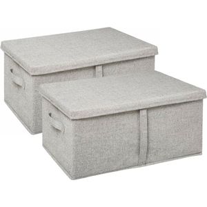 5Five Opbergdoos/box met deksel - 2x - lichtgrijs - L50 x B31 x H25 cm - Stevig karton/polyester - 48 liter