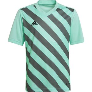 adidas - Entrada 22 GFX Jersey - Kids Shirt-140