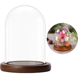 Belle Vous Glazen Stolp Pot met Bruin Houten Basis - 9,4 cm - Doorzichtig Decoratieve Tafeltop Display Bak met Tray voor Fee Lichten, Kopstukken en Antieke Items