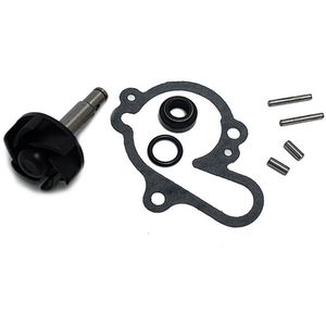 Sgr Minarelli Am6 Reparatieset Voor Waterpomp Zilver