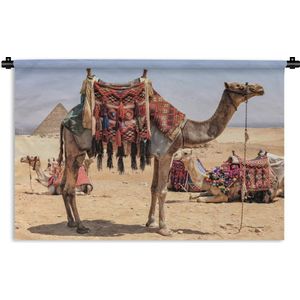Wandkleed Egypte - Kameel klaar voor vertrek Wandkleed katoen 150x100 cm - Wandtapijt met foto